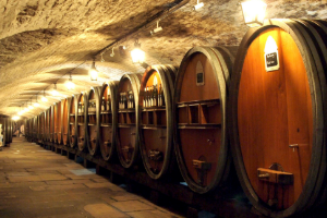 Wine cellar hospital Strasbourg