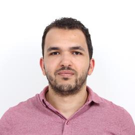 Ahmed H. Shahin